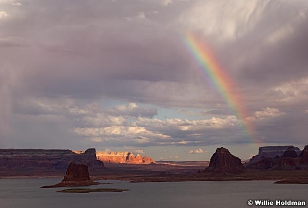 Dpowellrainbow71106