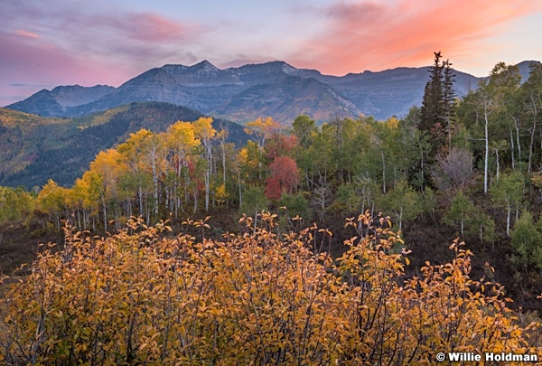 Timpanogos Autumn Slender 093021 7126