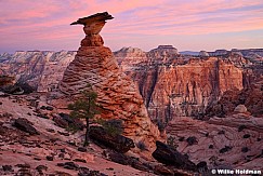 Zion HooDoo Canaan 031126 7624