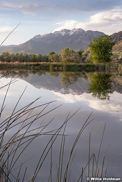 Timpanogos Spring Reflection 051618 2062 2