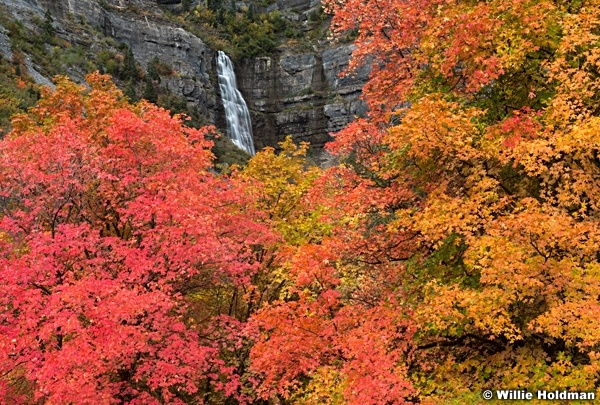 Bridal Veil Falls Provo Canyon 100323 8477 2