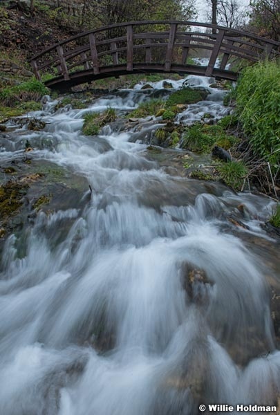 Cascade Spings Waterfall Bridge 050324 6936