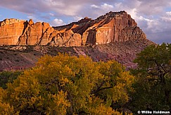 Capital Reef 101113 0786