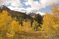 Yellowaspensmerge100708 9604
