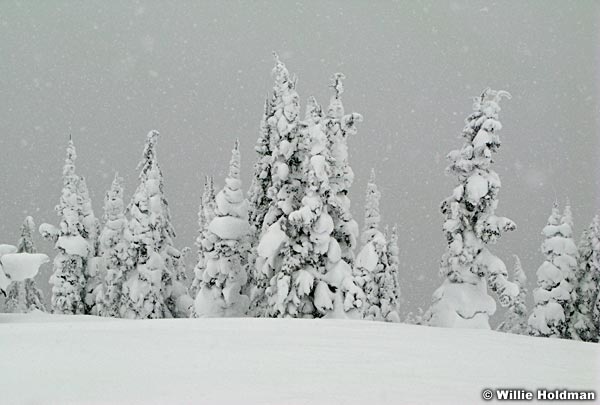 winter020808IMG 06908