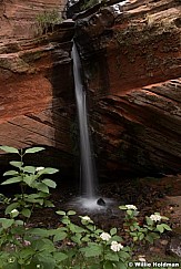 Teasdale Waterfall 061721 1046
