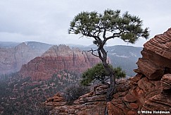 Lone TreeSandstone 102815 0521
