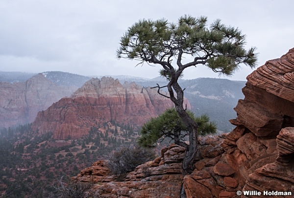 Lone TreeSandstone 102815 0521