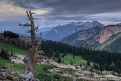 Lighteningtimp080609