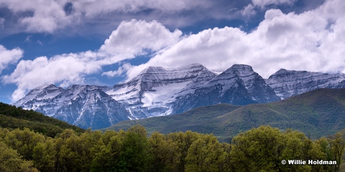 Timpanogos Spring Greens 051515