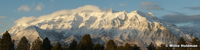 030307timppan