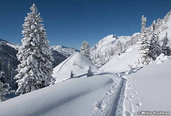 Fresh Snow Grizzly Gulch 111220 1699 4