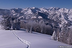 Big Cottonwood Canyon Snow 030315 0850