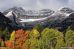 Timpanogos Dusting Aspens 100217 7454