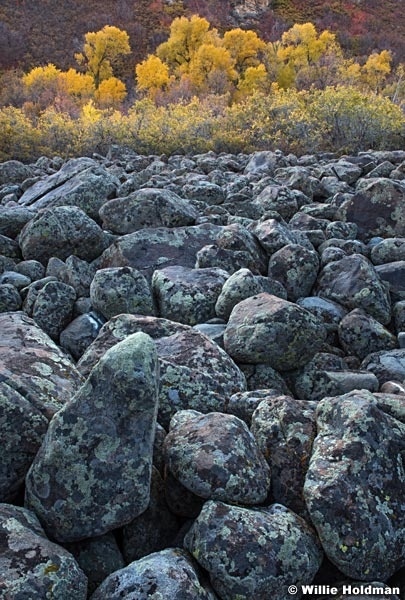 Boulders and Cottonwoods 101219 1569 41