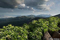 hostastimpridge080210 1137