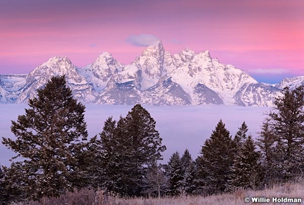 tetonpinkglow111709a