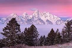 tetonpinkglow111709a