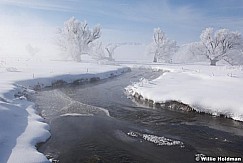 Northfieldcreek022009 12028