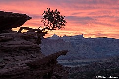 Capitol Reef Sunrise Utah 102922 5578