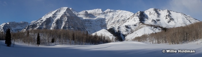 Winter Meadow Timpanogos022312