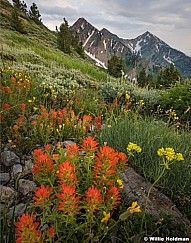 Paintbrush Provo Peak 071117 1534 2 3