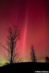 Northern lights test 9365