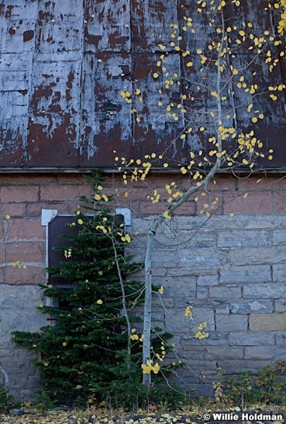 Park City Mine 100312 126