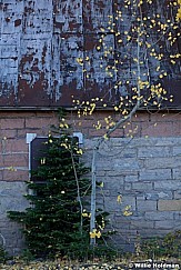 Park City Mine 100312 126