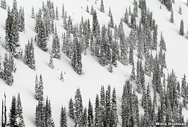 winter020808 IMG 072012