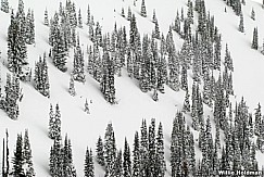 winter020808 IMG 072012