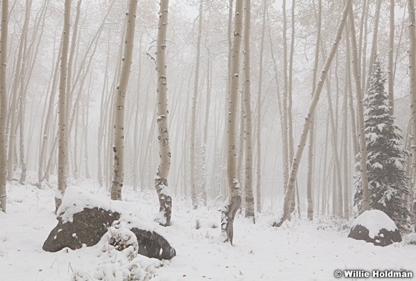 Aspensinfogsnow100711 300