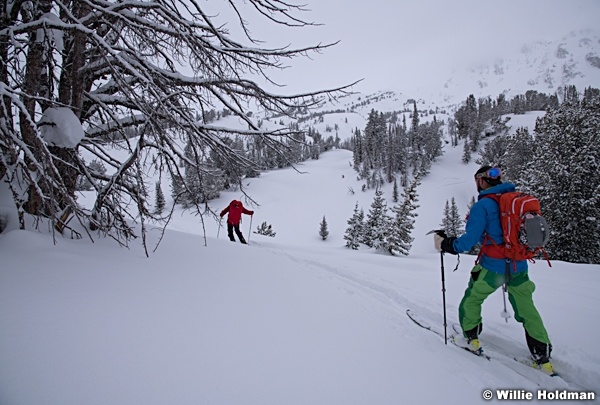Beartooth Bare Trees Winter 032318 7105