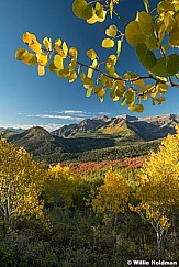 Aspen Leaves Timpanogos 100122 0071