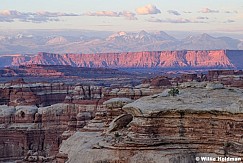Canyonlands La Sals 051926 8188