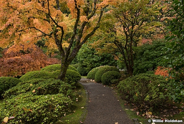 Japanese Garden 102716 7463