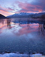 Timpdeercreekreflection