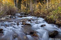 Big Cottonwood Stream 100312