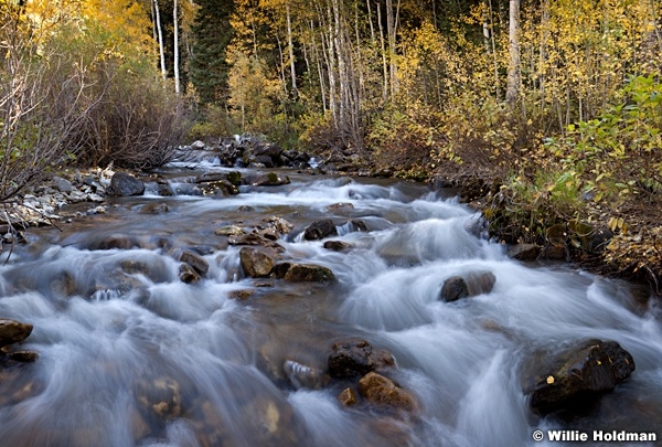Big Cottonwood Stream 100312