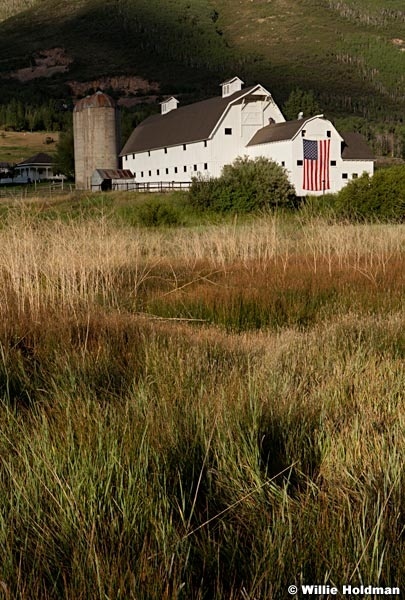 McPolin Barn spring 0701612 857