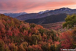 Wasatch Color Sunset 0917