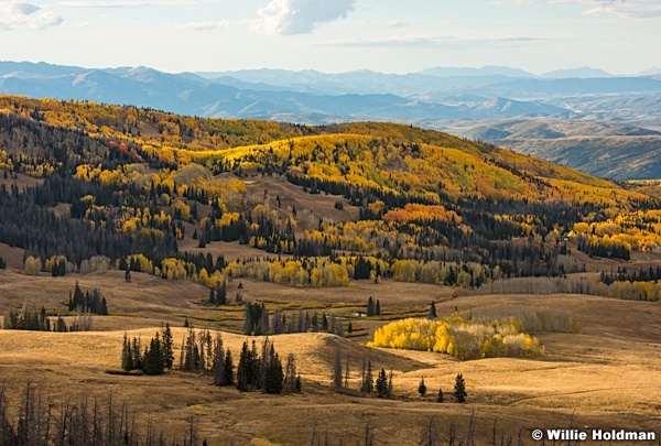 Golden Aspens Heber 092916 8279