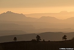 Henry Mountain Layers Lone Pine 100321 7904 2