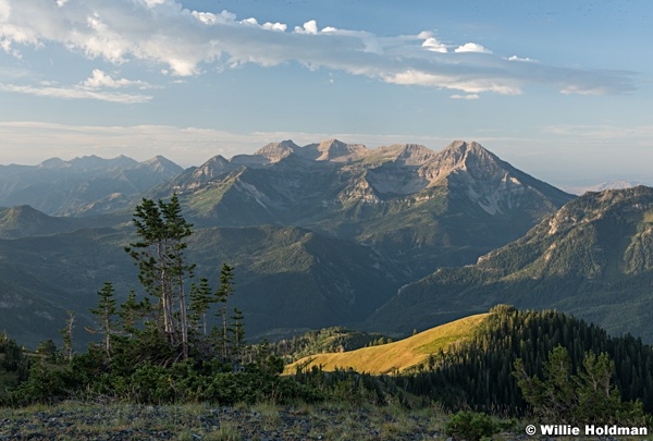 Timpanogos Americna Fork Canyon 083015 8010