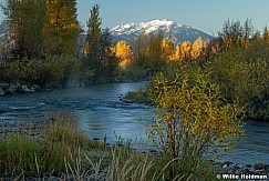 Provo River Timp 102324