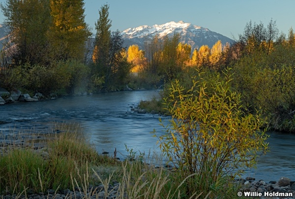 Provo River Timp 102324