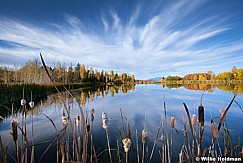 Cattails Pond 101012 299