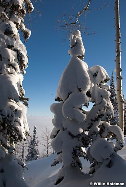 wasatchpowder012810 0435