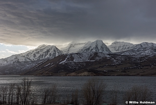 Timp Deer Creek 032517 6110