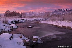 Pink Sunrise 012312 71